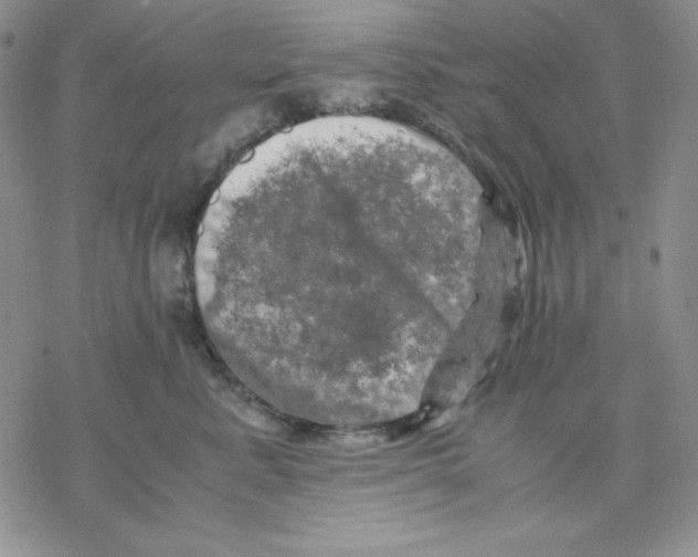 X0000077290619200611171629