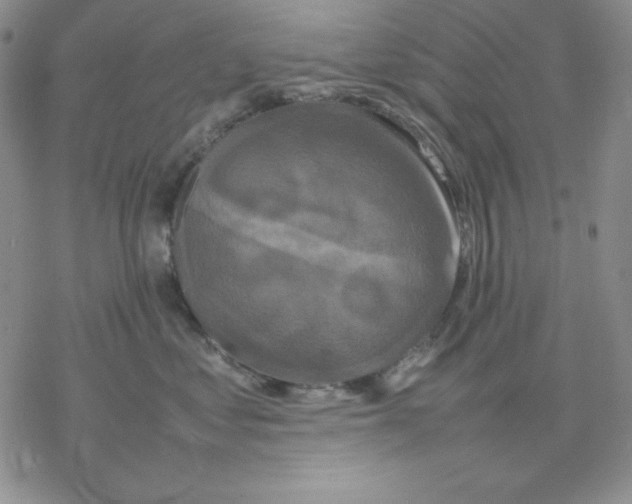 X0000077290621200611171629