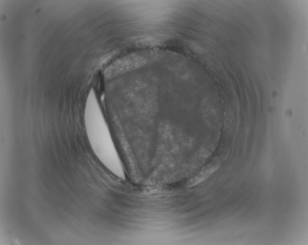 X0000077290624200611171629