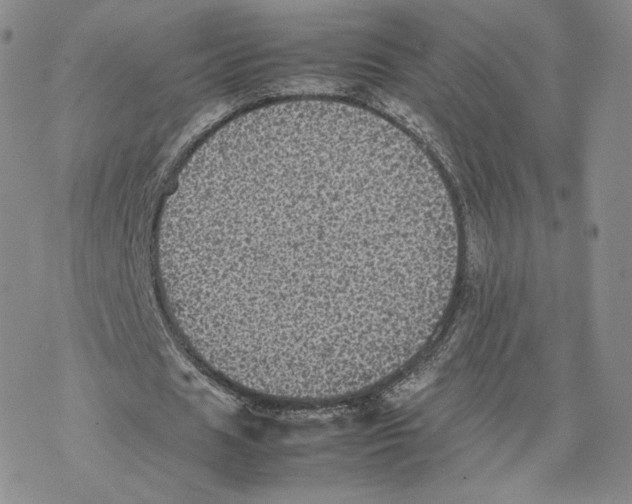 X0000077290625200611171628