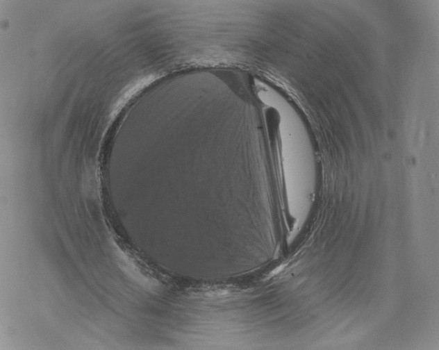 X0000077290626200611171628