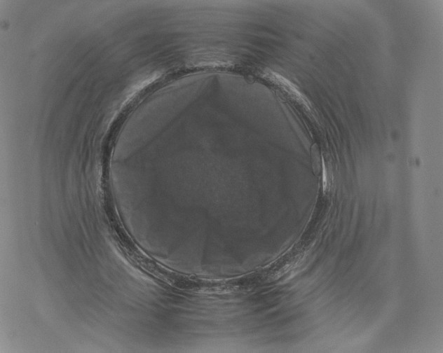 X0000077290627200611171628