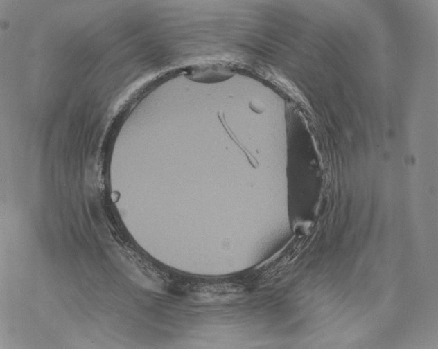 X0000077290628200611171628