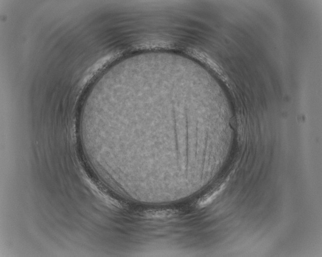 X0000077290629200611171628