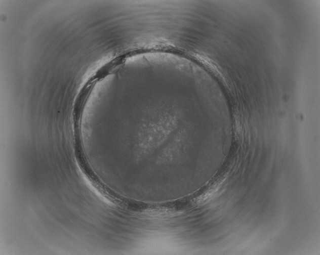 X0000077290630200611171628