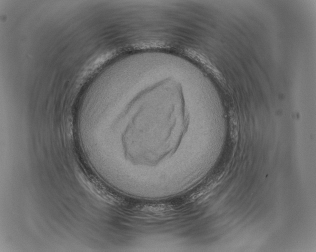 X0000077290631200611171628