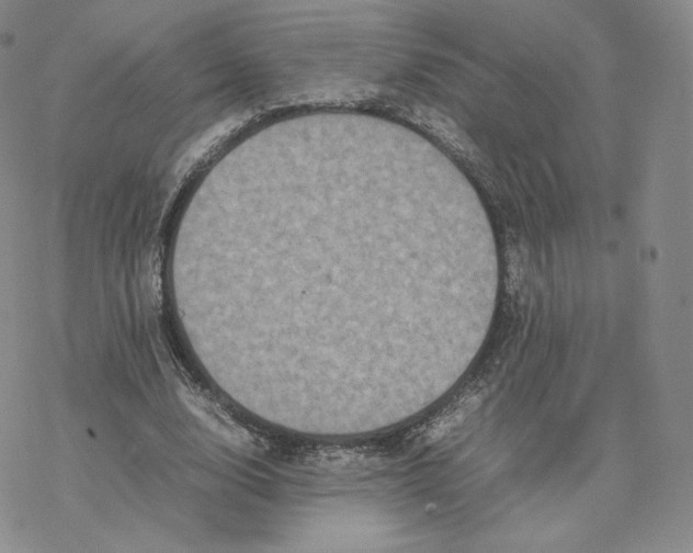 X0000077290632200611171628