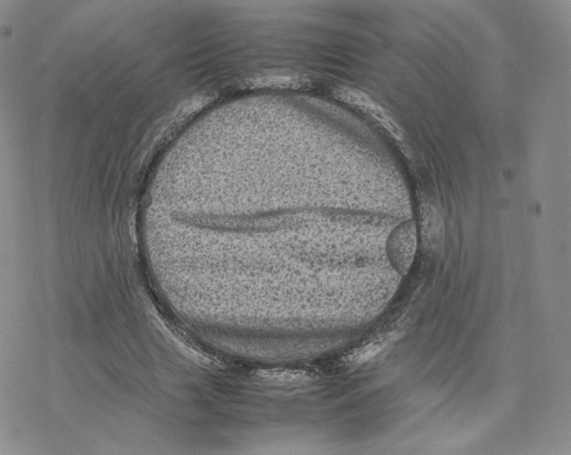 X0000077290633200611171628