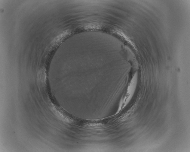 X0000077290637200611171628