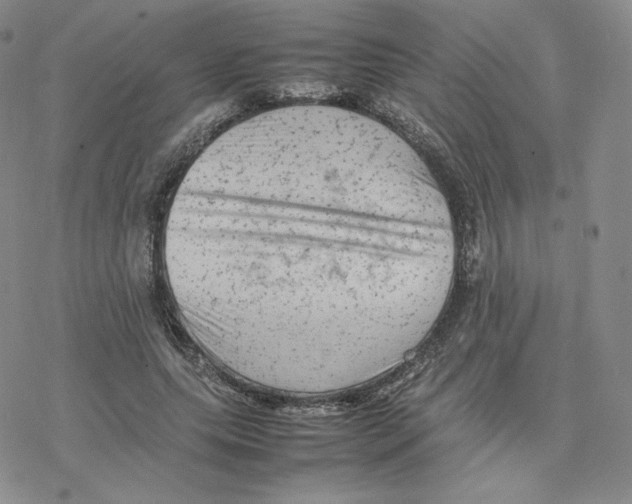 X0000077290639200611171628