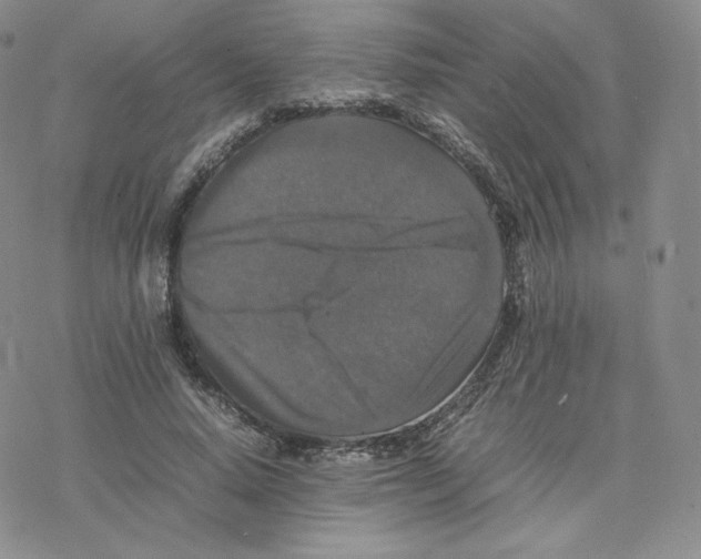 X0000077290640200611171628