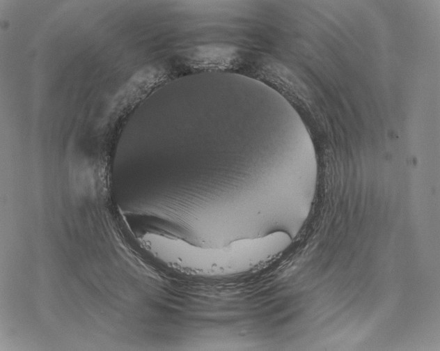 X0000077290641200611171628