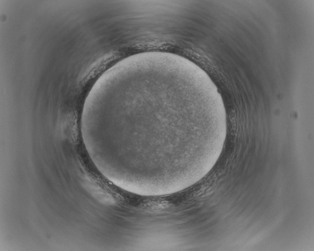 X0000077290642200611171628