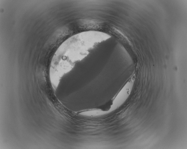 X0000077290643200611171628