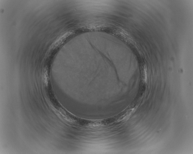 X0000077290644200611171628