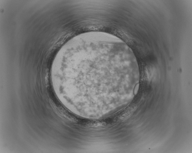 X0000077290646200611171628