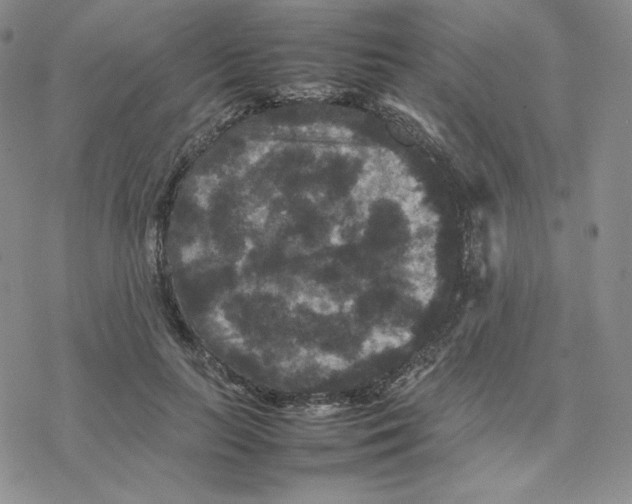 X0000077290647200611171628