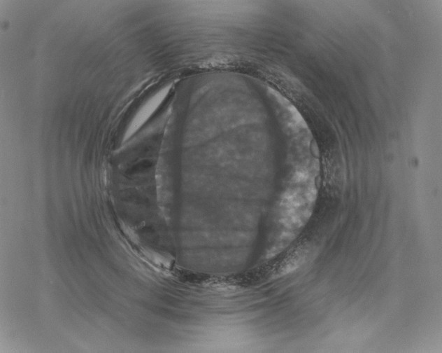 X0000077290648200611171628