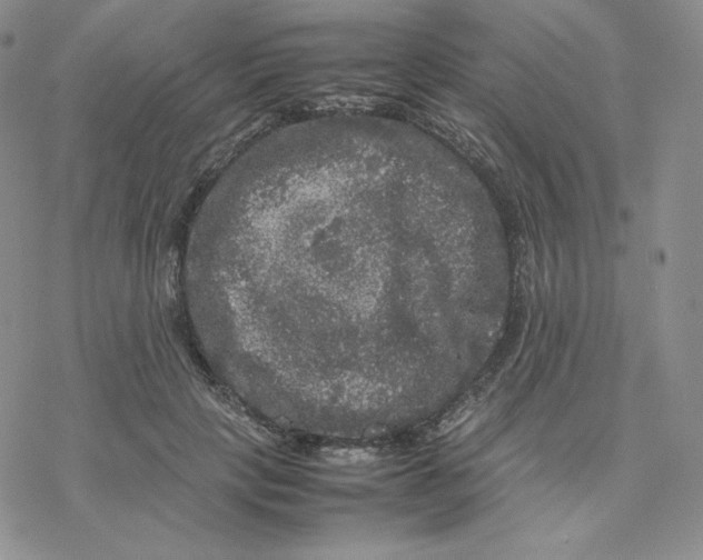 X0000077290649200611171628