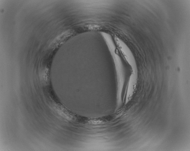 X0000077290650200611171628