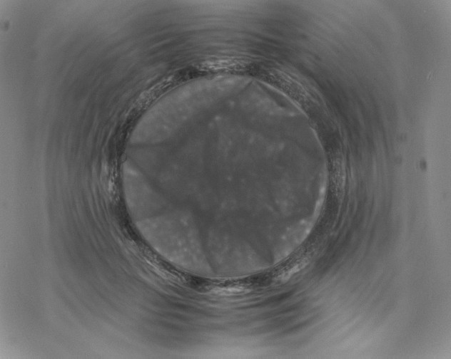 X0000077290653200611171628