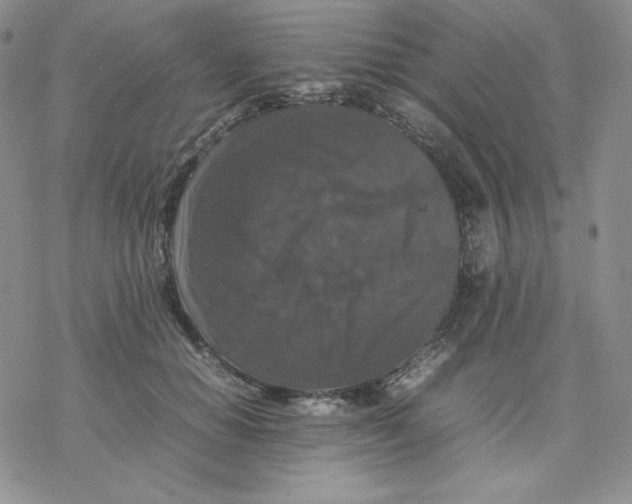 X0000077290654200611171628