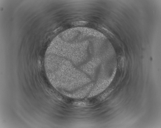 X0000077290655200611171628