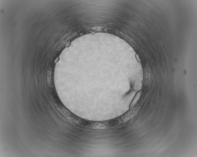 X0000077290656200611171628