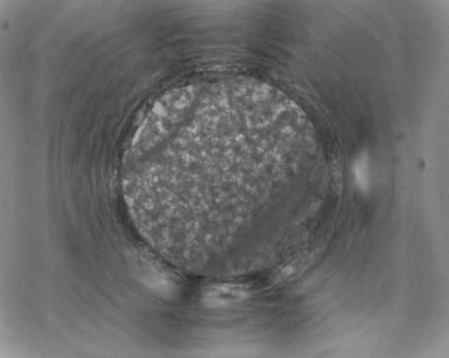 X0000077290657200611171628