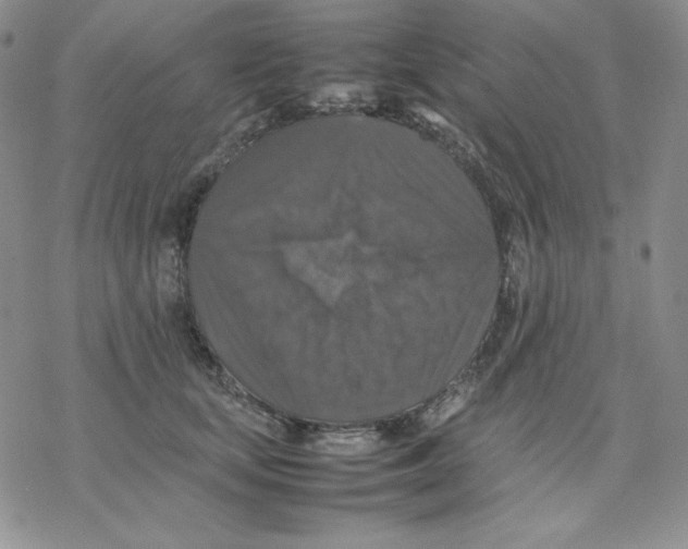 X0000077290659200611171628