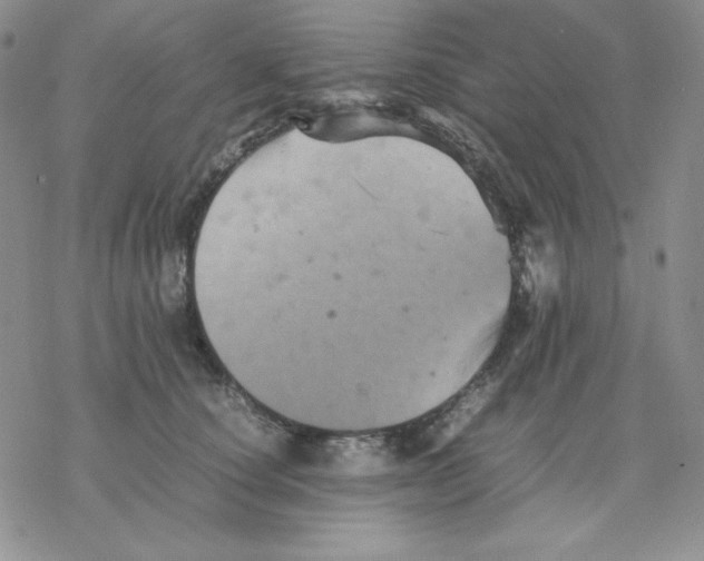 X0000077290660200611171628