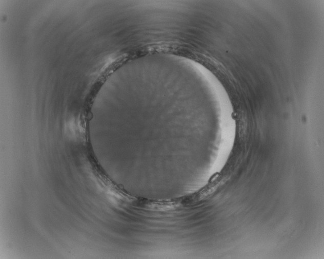 X0000077290661200611171628