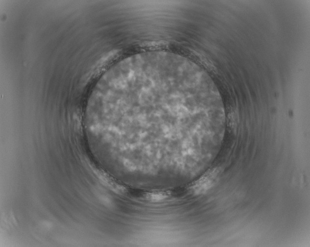 X0000077290662200611171628