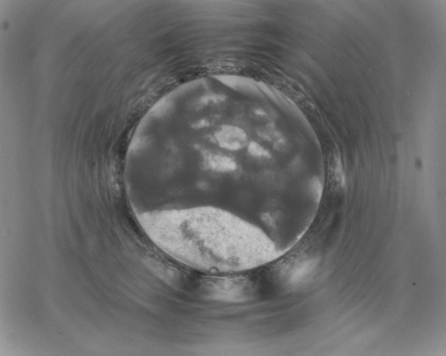 X0000077290663200611171628