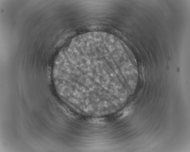 X0000077290664200611171628