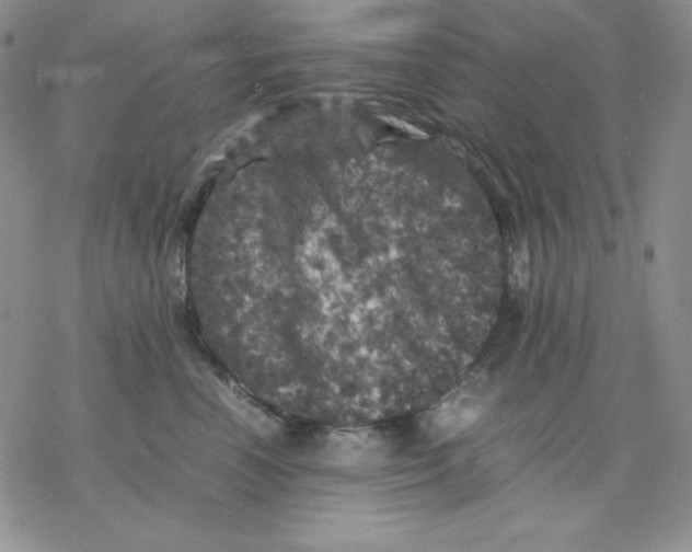 X0000077290666200611171628