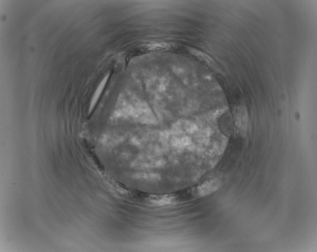 X0000077290667200611171628