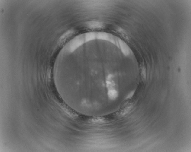 X0000077290668200611171629