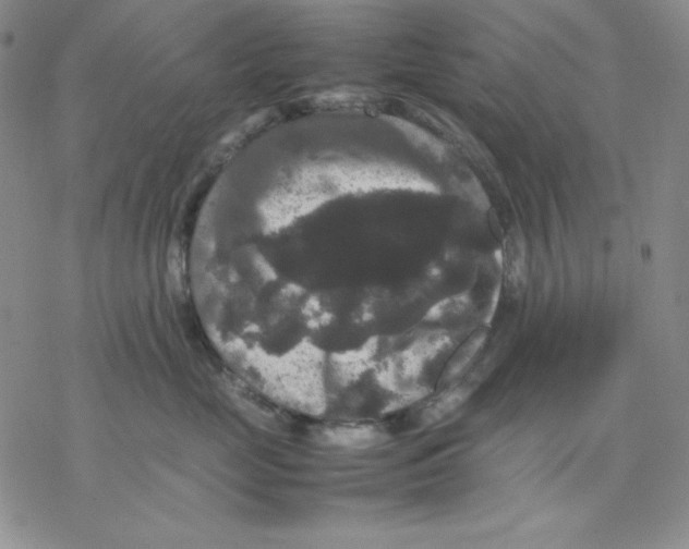 X0000077290669200611171629