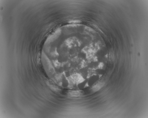 X0000077290671200611171629