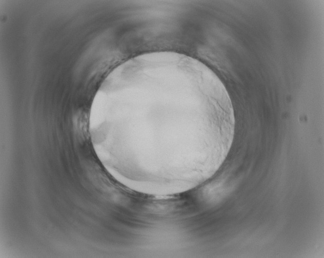 X0000077290672200611171629