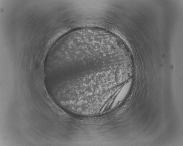 X0000077290673200611171628