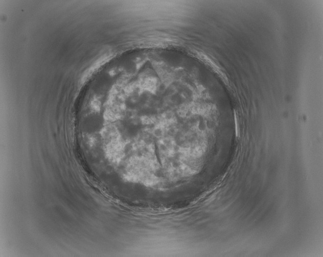 X0000077290675200611171628