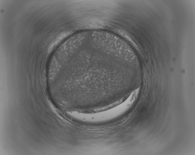 X0000077290677200611171628