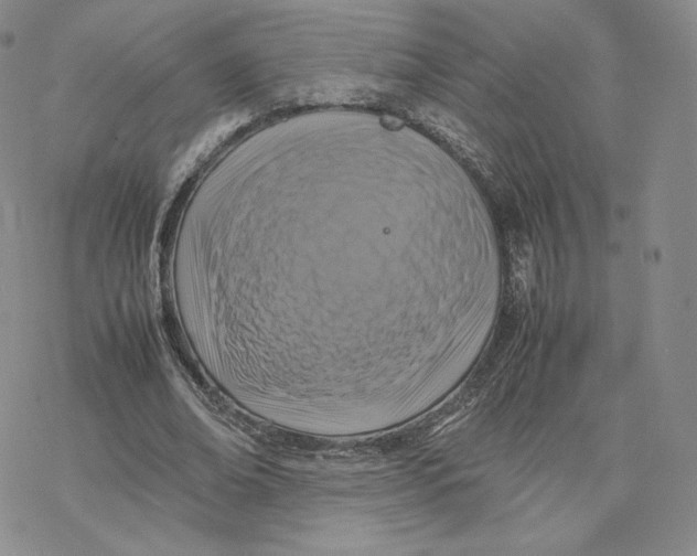 X0000077290678200611171628