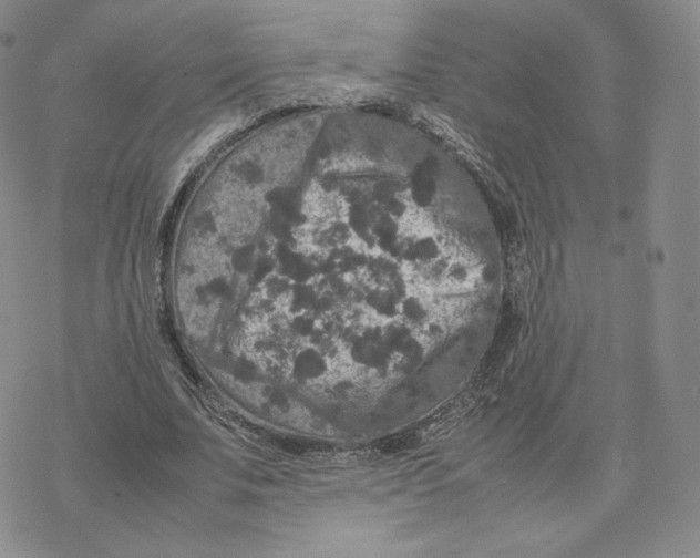 X0000077290679200611171628