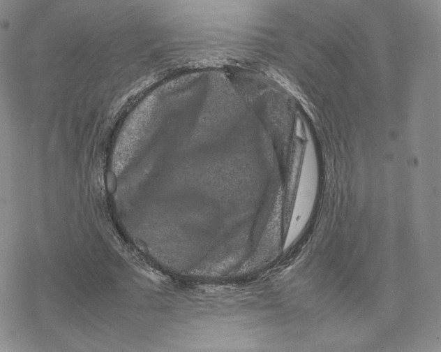 X0000077290681200611171628