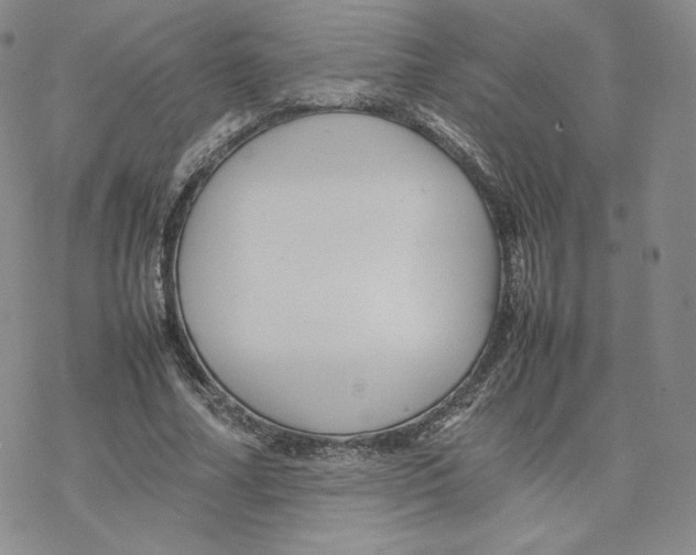 X0000077290682200611171628