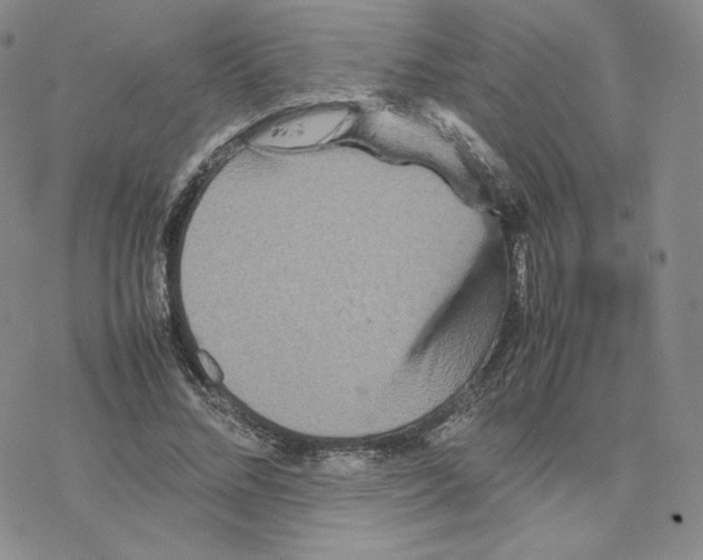 X0000077290684200611171628