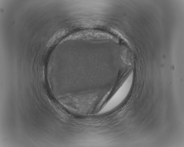 X0000077290685200611171628